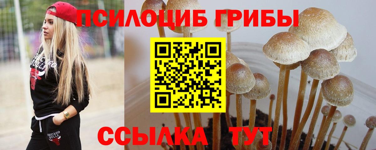 Краснокамск  Галлюциногенные грибы ЛСД  Псилоцибиновые грибы Cubensis  Вход с VPN 